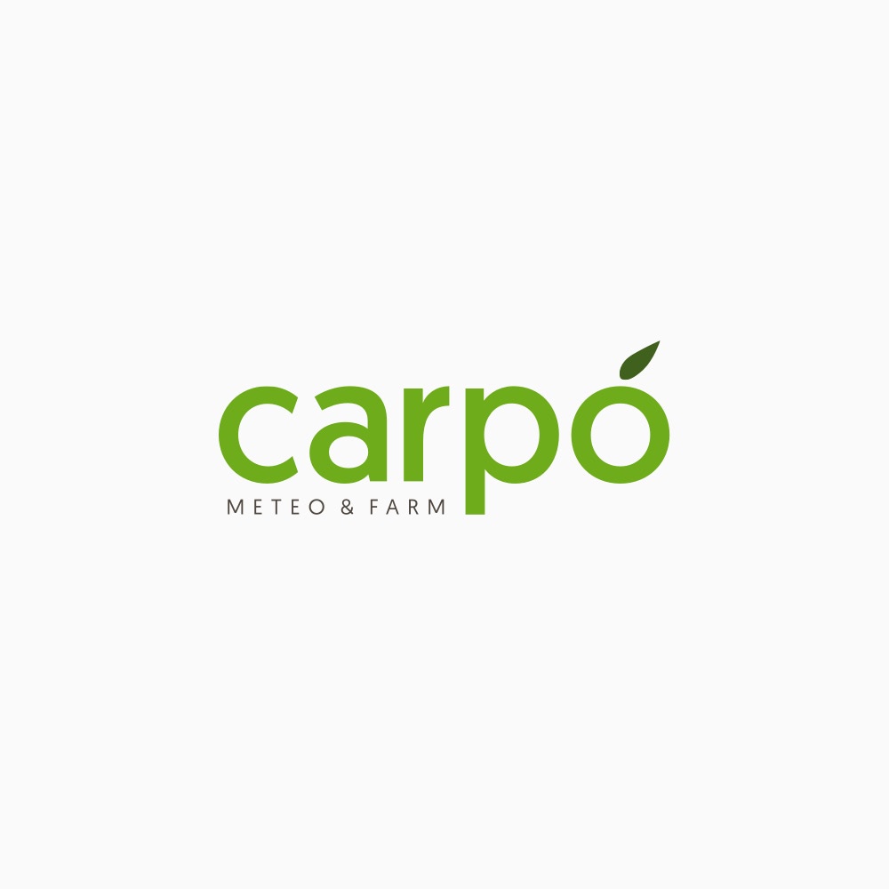 Carpo Branding Showcase Image 01